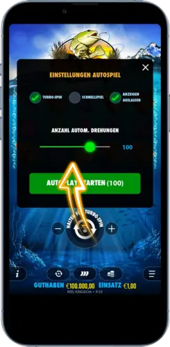Big Bass Bonanza Autoplay Modus mit automatischen Spins